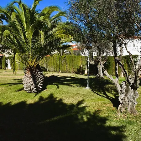 Appartamento Estudio Con Piscina A 80 Metros De La Playa Les Deveses -