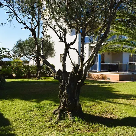 Estudio Con Piscina A 80 Metros De La Playa Les Deveses - Appartamento Dénia