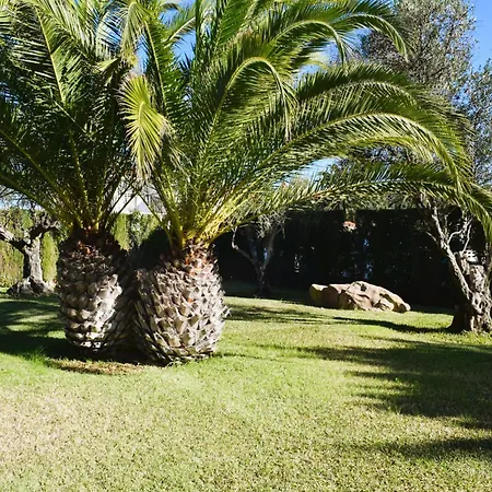 Appartamento Estudio Con Piscina A 80 Metros De La Playa Les Deveses -