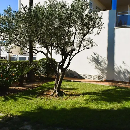 Estudio Con Piscina A 80 Metros De La Playa Les Deveses - Appartamento *